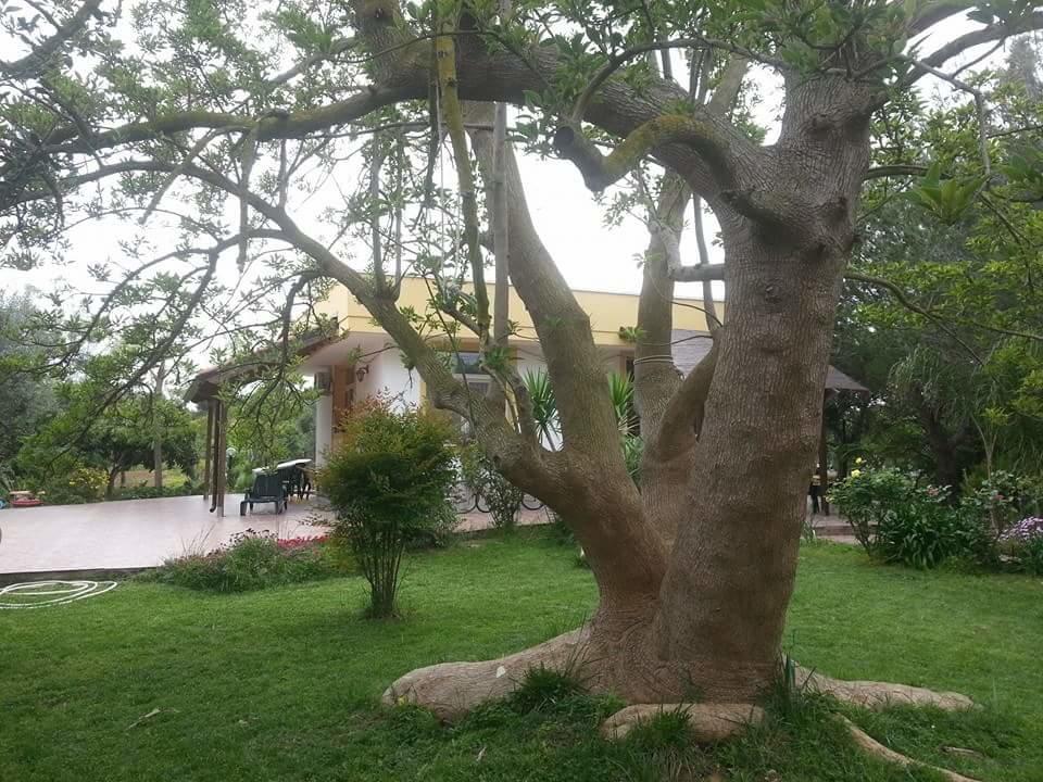 Carmiano  B&B La Gazza Ladra المظهر الخارجي الصورة